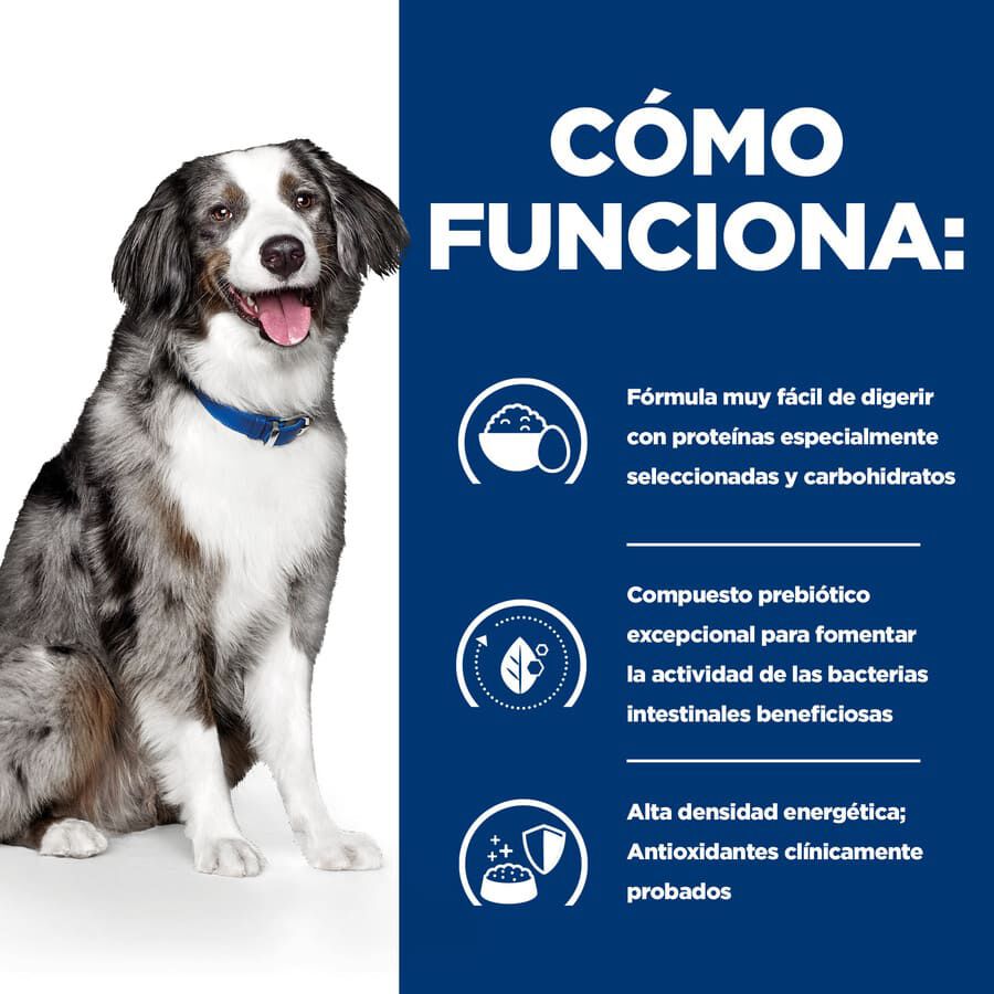 12 kg Hill's Prescription Diet Digestive Care i/d pienso para perros, , large Imagen numero 3